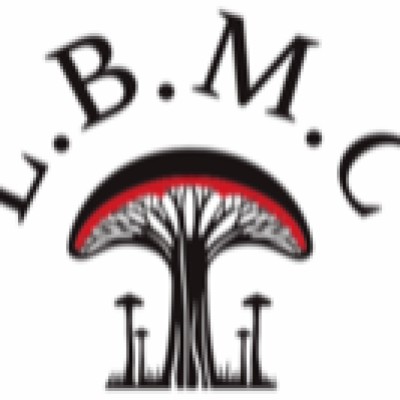 L.B.M.C sur Obat Travaux