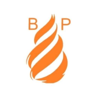 BP entretien poêle sur Obat Travaux