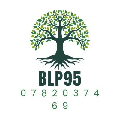 Blp95 sur Obat Travaux