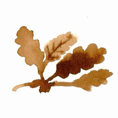 Jérôme CASSIOT  - ELEMENT TERRE sur Obat Travaux