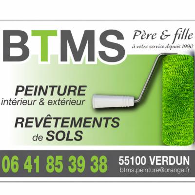 BTMS PEINTURE sur Obat Travaux