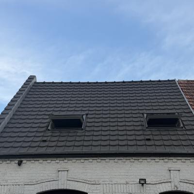 toiture 1
