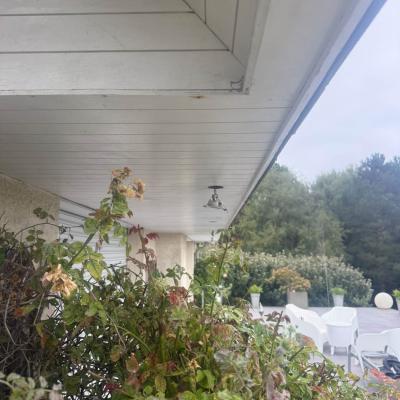 Cache-moineaux , porte de garage et porte d’entrée extérieur 5