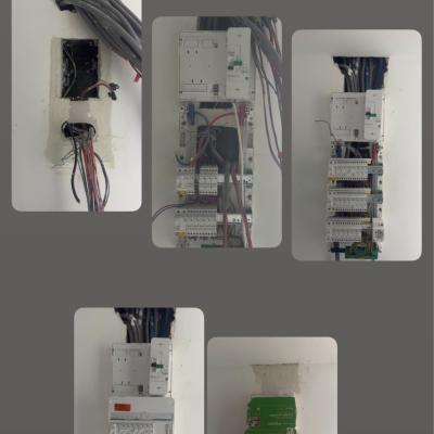 Dernière réalisation Shawki Abouelenein Electric Orient