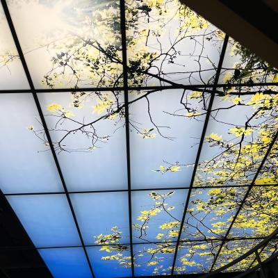 CIEL DE TOIT GMS 3
