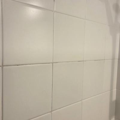 Remise en état d'une salle de bain apres dégat des eaux 1