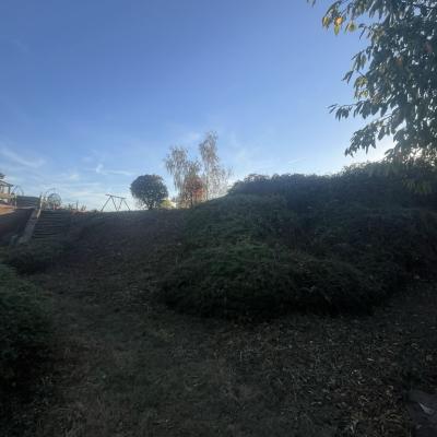 Chantier Entretien espace vert 4