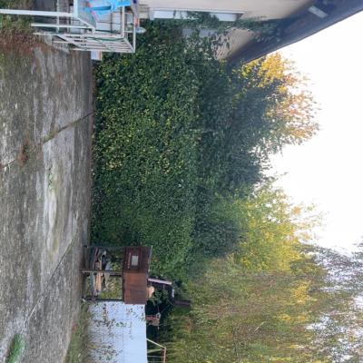 Dernière réalisation SV Terrassement & Paysage