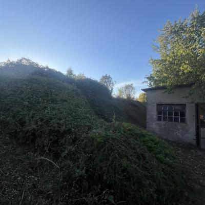 Chantier Entretien espace vert 5