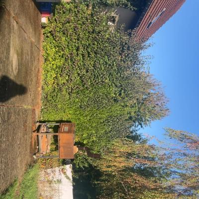 Dernière réalisation SV Terrassement & Paysage