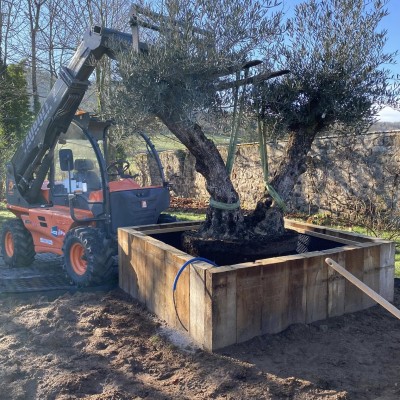 Dernière réalisation SG PAYSAGE