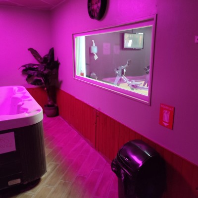 décoration intérieur, pars des panneaux muraux dans un jacuzzi. 5