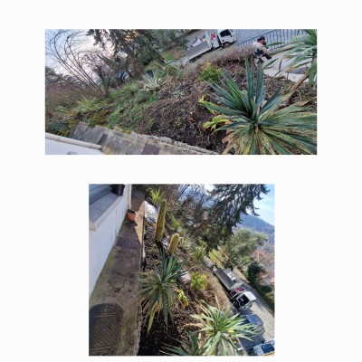 Dernière réalisation Noir jeson espace vert LUGI