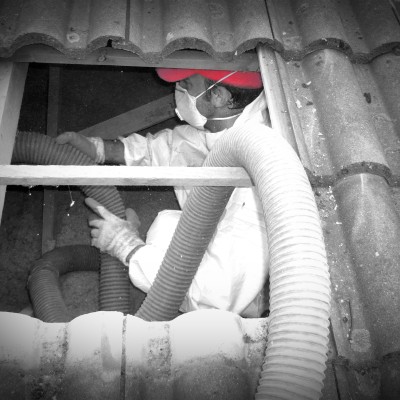 Dernière réalisation DIAMANTIS