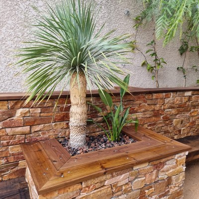 Ambiance extérieur 3