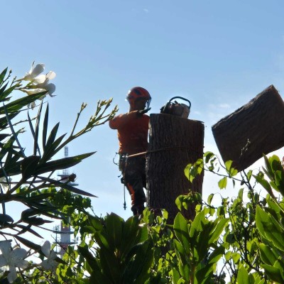 DerniÚre réalisation Les jardins des vents d'anges