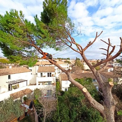 DerniÚre réalisation Les jardins des vents d'anges