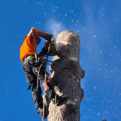 DerniÚre réalisation Les jardins des vents d'anges