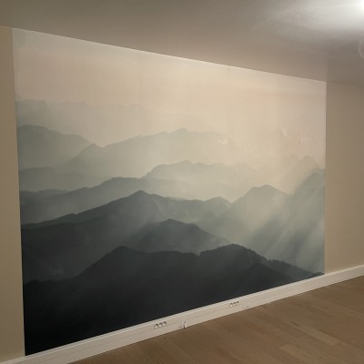 Dernière réalisation AUXILIUM AVS