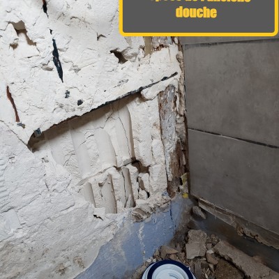 Ouvrage de rénovation de sale de bain (plomberie/ électricité Carrelage) 1