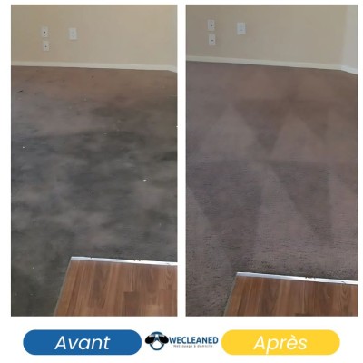 Nettoyage Professionnel de Moquette 4