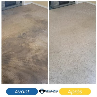 Nettoyage Professionnel de Moquette 1