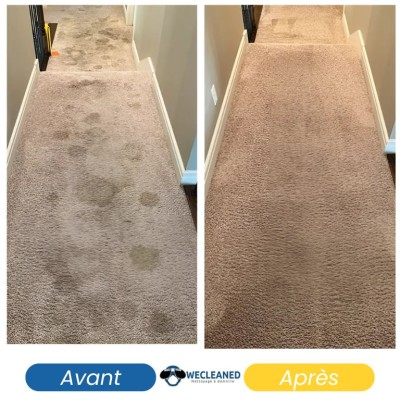 Dernière réalisation Wecleaned