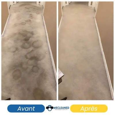 Nettoyage Professionnel de Moquette 3