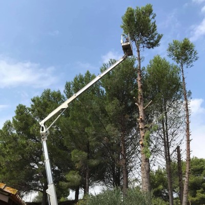 Jardinier paysagiste 3