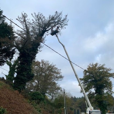 Jardinier paysagiste 4