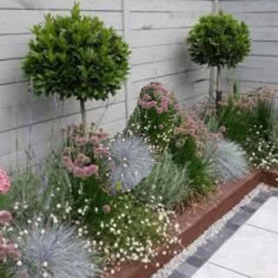 Jardinier paysagiste 1