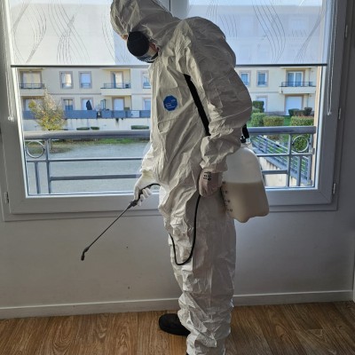 Dernière réalisation sos elec et nuisibles