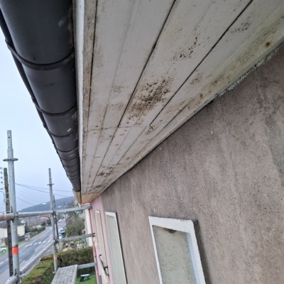 Dernière réalisation Les 2 mains du bâtiment