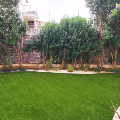 temp_collection_creation 2