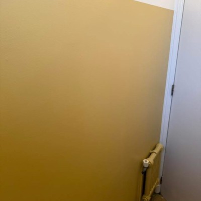 Dernière réalisation Terrier jose