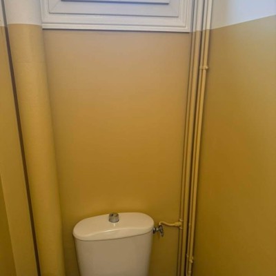 Dernière réalisation Terrier jose