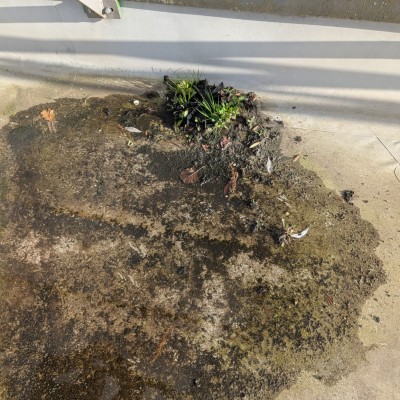 Dernière réalisation bigot etancheite