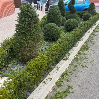 Dernière réalisation Blp95