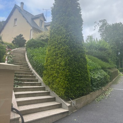 Entretien de jardin 3