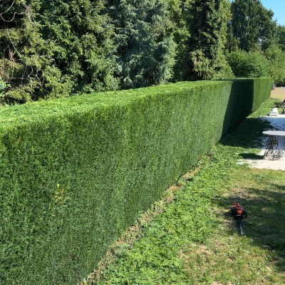 Entretien de jardin 1