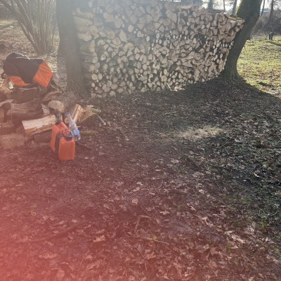 Dernière réalisation Blp95