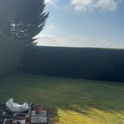 Dernière réalisation Blp95