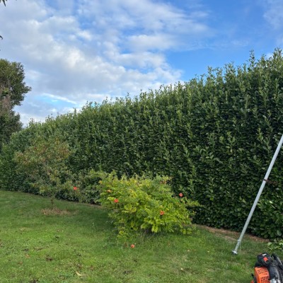 Entretien de jardin 4