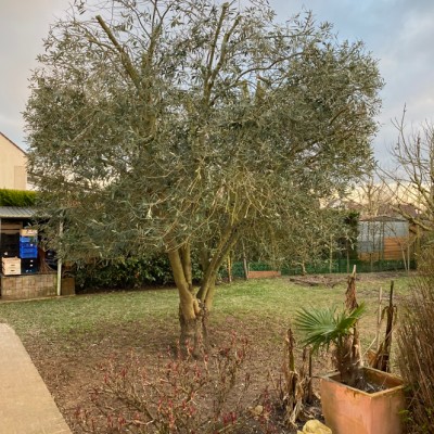 Entretien de jardin 2