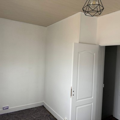 Dernière réalisation Terrier jose