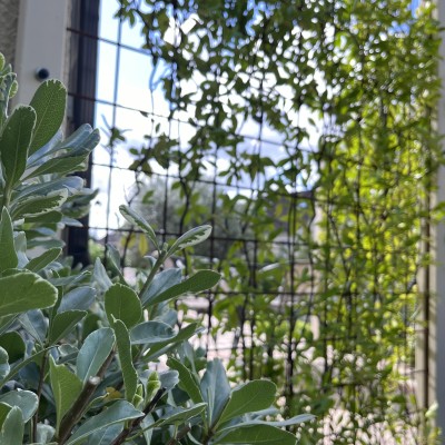 Création et entretien d'espaces verts 2