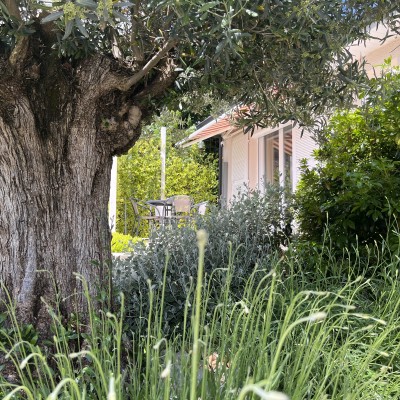 Création et entretien d'espaces verts 5