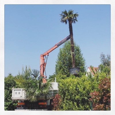 Aménagement de jardin 1