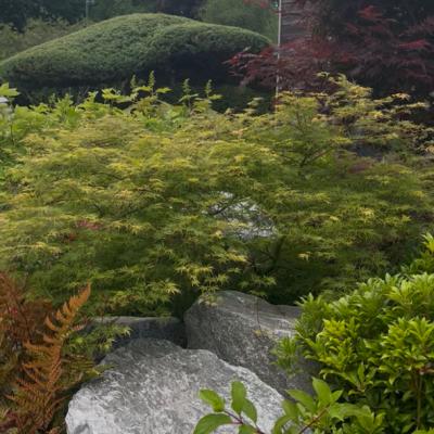 Dernière réalisation Ambiances nature