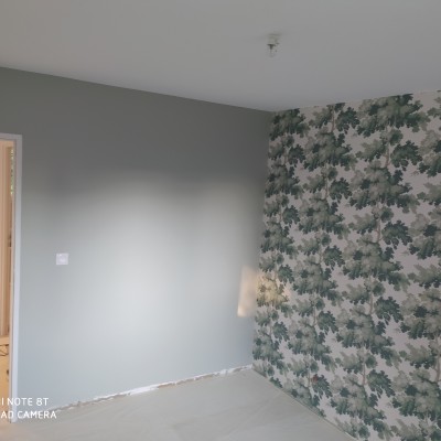 Papier Peint et revêtement muraux 1